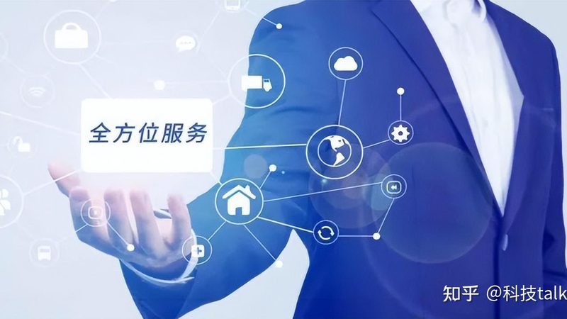 IT咨询与系统集成：性价比背后的考量因素