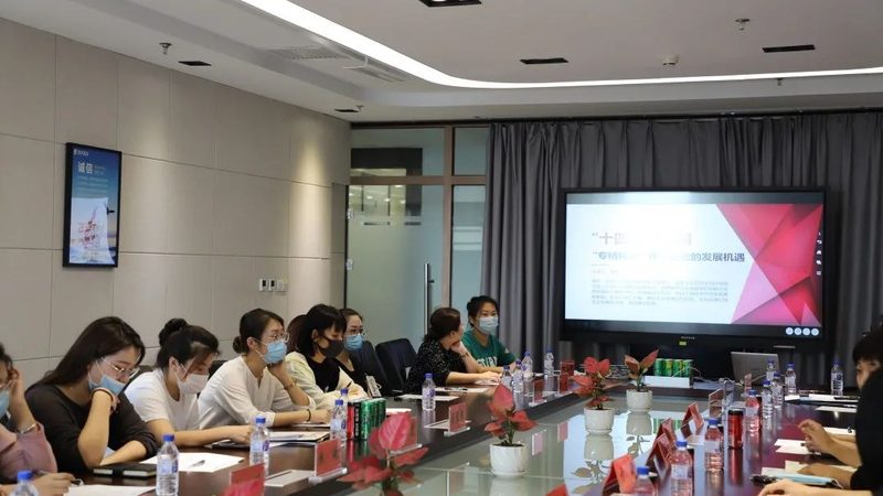 信息技术公司经营范围代理办理：合规与效率的平衡之道**